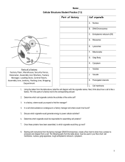 Cellular Structures Student Practice (7.3)
