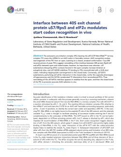 Interface between 40S exit channel protein uS7/Rps5 and eIF2&alpha;