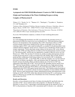 S9-004 A proposed role FOR MN(II)/Bicarbonate CLusters in THE