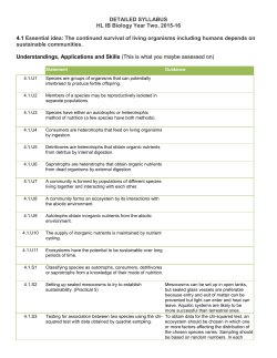 IB Assessment Statement/Detailed Syllabus