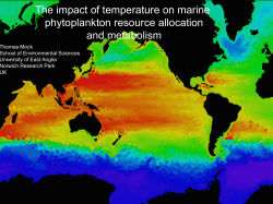 The impact of temperature on marine phytoplankton - eur