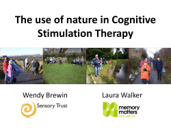 The use of nature in Cognitive Stimulation Therapy
