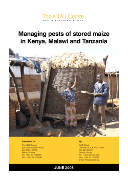 Managing pests of stored maize in Kenya, Malawi and
