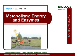 Metabolism: Energy and Enzymes