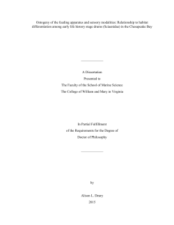 Ontogeny of the feeding apparatus and sensory modalities
