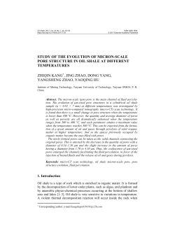 study of the evolution of micron-scale pore structure in oil shale at