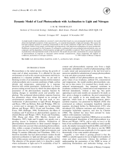 Dynamic Model of Leaf Photosynthesis with Acclimation to Light and