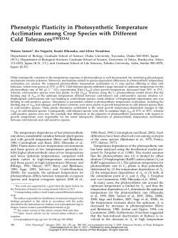 Phenotypic Plasticity in Photosynthetic