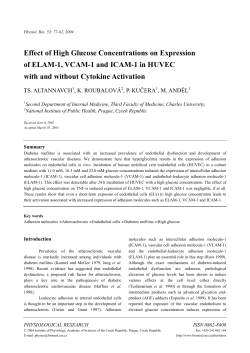 Effect of High Glucose Concentrations on Expression of ELAM
