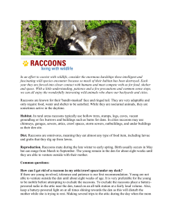 In an effort to coexist with wildlife, consider the enormous hardships
