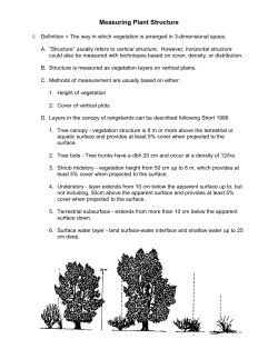 Measuring Plant Structure