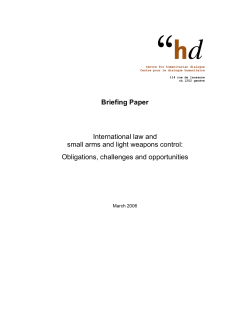 International law and small arms and light weapons control