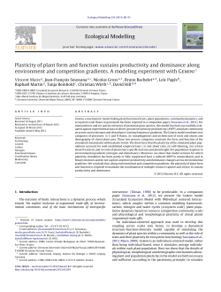 Plasticity of plant form and function sustains productivity and