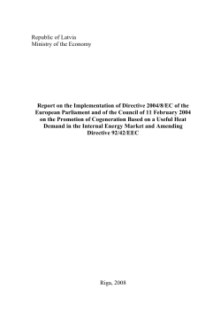 Progress Report &ndash; 1 2008