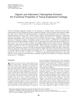 Digoxin and Adenosine Triphosphate Enhance the Functional