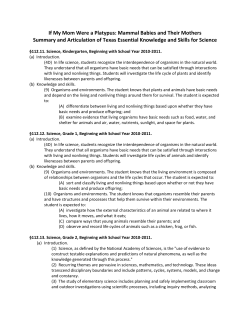 If My Mom Were a Platypus: Mammal Babies