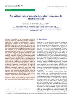 The critical role of autophagy in plant responses to abiotic stresses