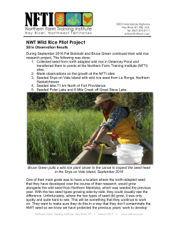 NWT Wild Rice Pilot Project - Northern Farm Training Institute