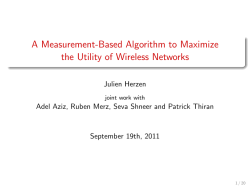 A Measurement-Based Algorithm to Maximize the Utility of Wireless