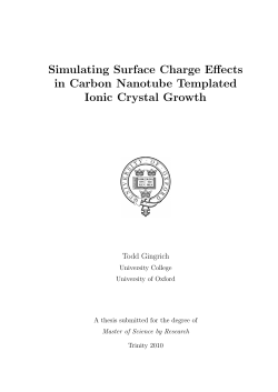 Simulating Surface Charge Effects in Carbon Nanotube Templated