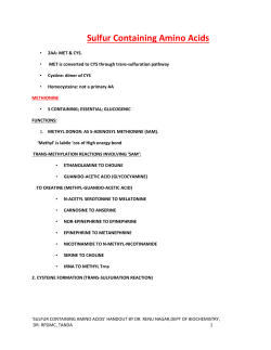 Sulfur Containing Amino Acids