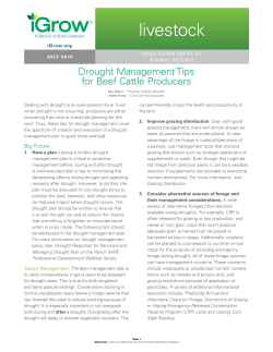 Drought Management Tips for Beef Cattle Producers
