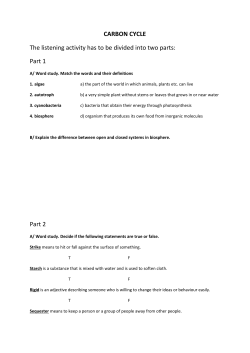 carbon cycle