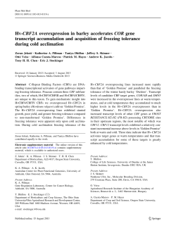 Hv-CBF2A overexpression in barley accelerates COR gene