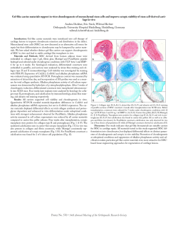 Poster No. 570 &bull; 54th Annual Meeting of the Orthopaedic Research