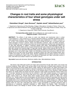 Changes in root traits and some physiological characteristics of four