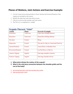 Planes of Motions, Joint Actions and Exercise Example: