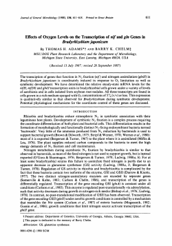 Effects of Oxygen Levels on the Transcription of