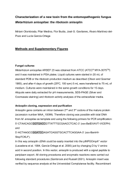 Characterization of a new toxin from the