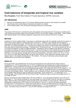 Cold tolerance of temperate and tropical rice varieties