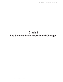 Grade 3 outcomes