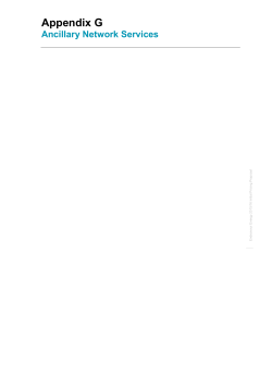 Appendix G - Endeavour Energy