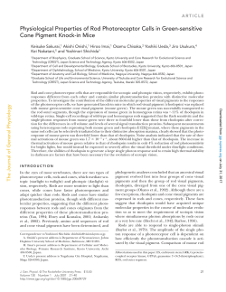 Physiological Properties of Rod Photoreceptor Cells in Green