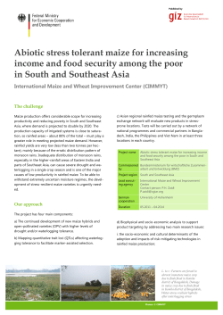 Abiotic stress tolerant maize for increasing income and food