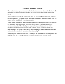 Clearcutting Destabilizes Forest Soil Clear-cutting