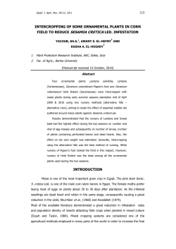 intercropping of some ornamental plants in corn field to reduce