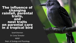 The influence of changing rainfall, parental traits, and nest traits on