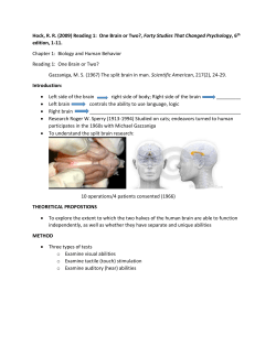 Hock, R. R. (2009) Reading 1: One Brain or Two?, Forty Studies
