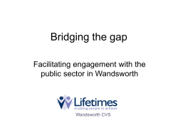 Bridging the gap - London Voluntary Service Council