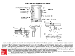 Slide 1 - Ommbid.com