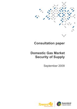 Consultation paper Domestic Gas Market Security of Supply