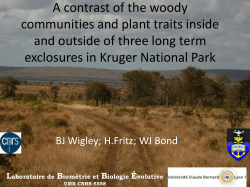 A contrast of the woody communities and plant traits inside and
