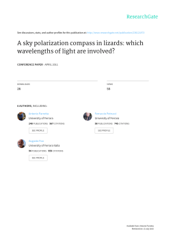 A sky polarization compass in lizards: which wavelengths of light are