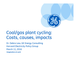 Coal/Gas Plant Cycling