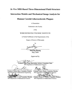 5. The 3D In Vivo MRI-Based FSI Model
