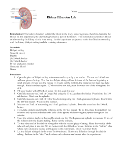 Kidney Filtration Lab